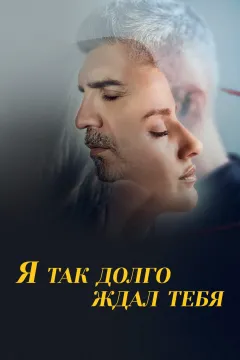 Я так долго ждал тебя